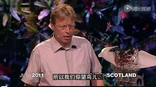 科学家破解飞行原理，制成栩栩如生的机械鸟