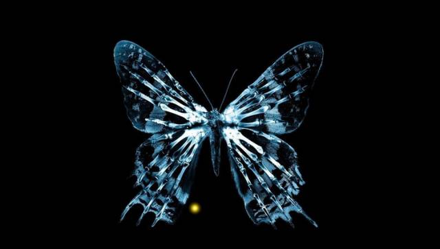 ��10������������ÿ�춼��������